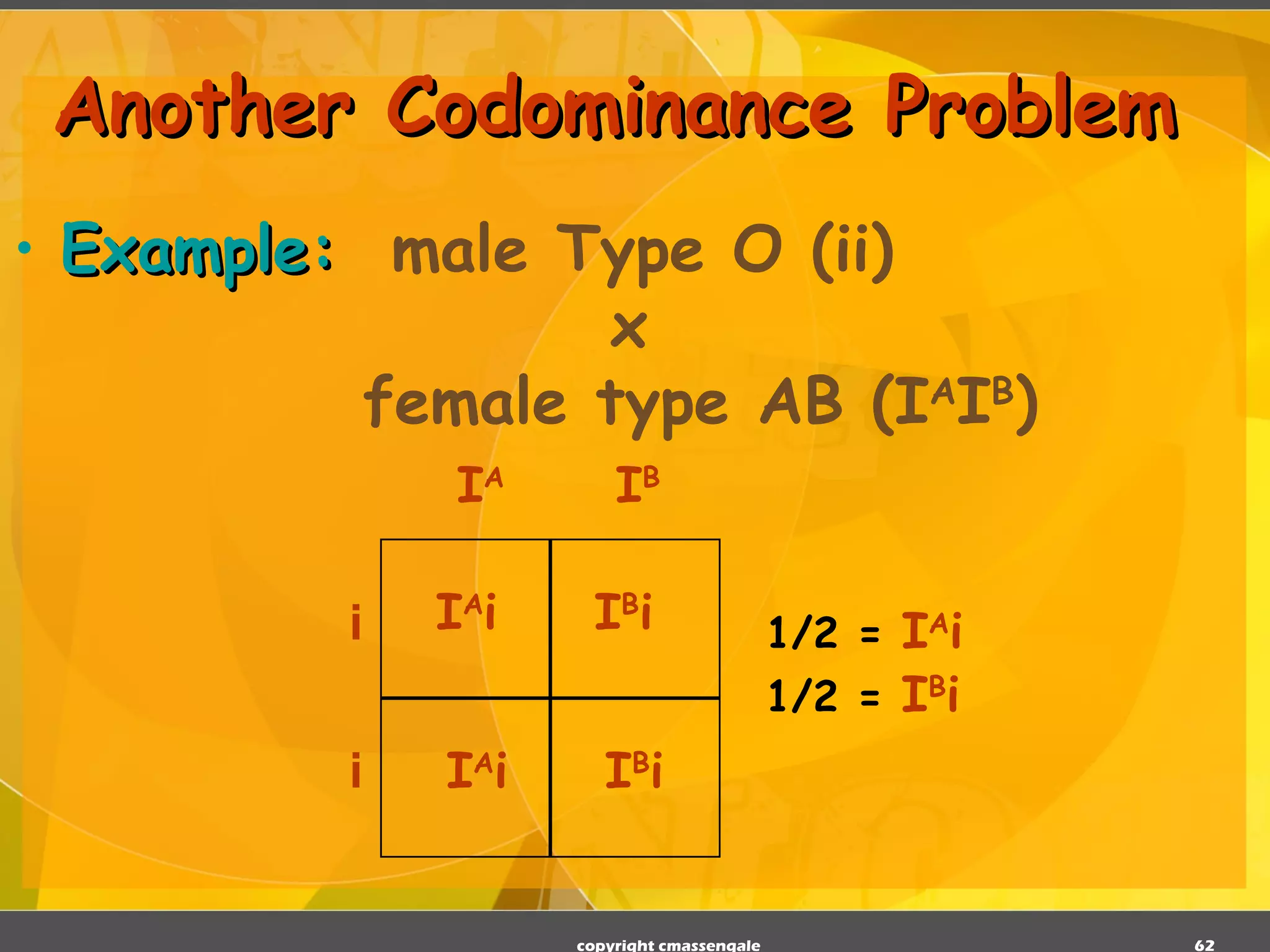 Another Codominance Problem Example:   male Type O (ii)   x    female type AB (I A I B ) copyright cmassengale I A i I B i I A i I B i 1/2 =  I A i 1/2 =  I B i   i I A I B i 