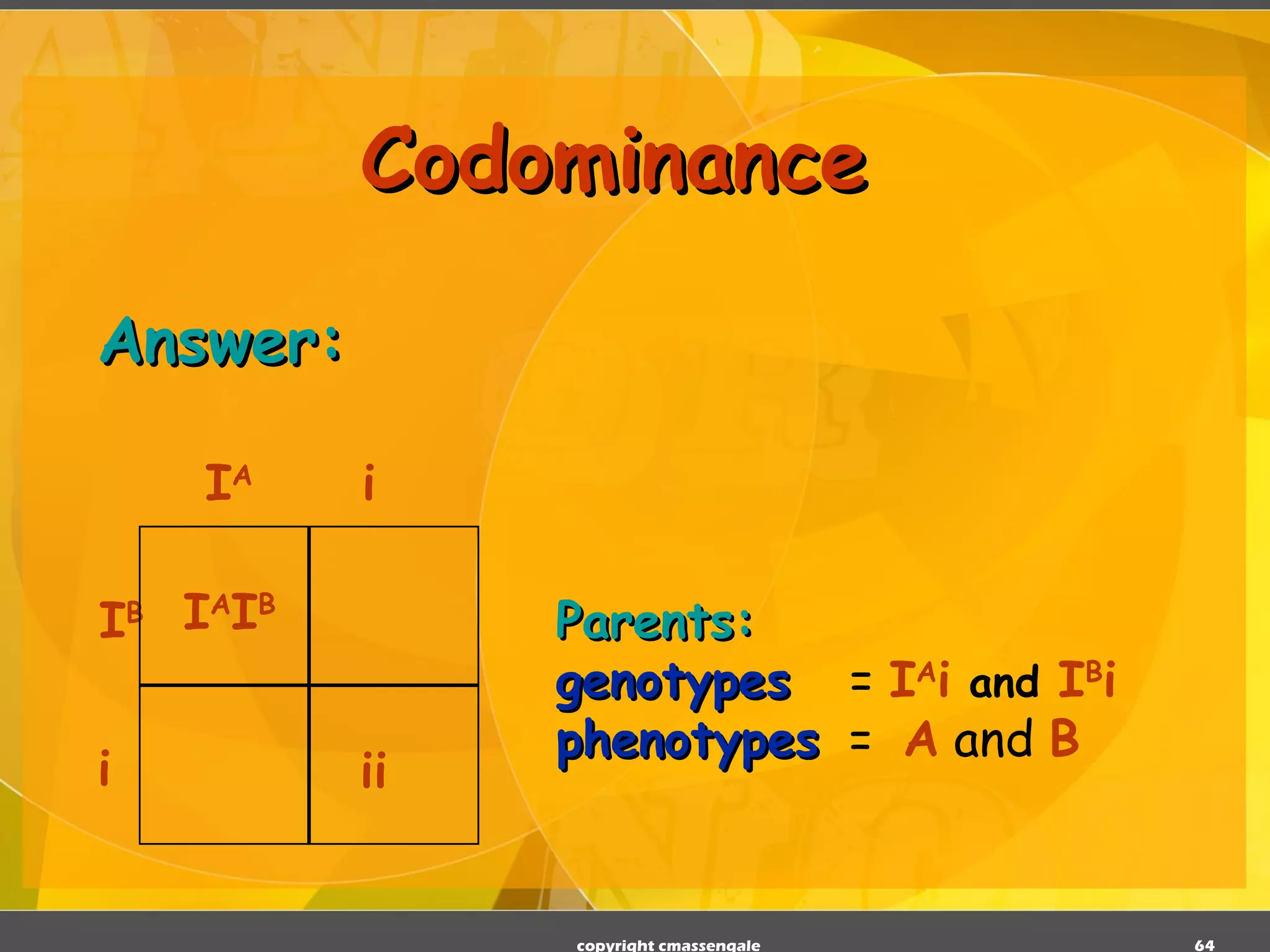 Codominance Answer: Parents: genotypes   =  I A i  and  I B i phenotypes   =  A  and  B copyright cmassengale I A I B ii I B I A i i 