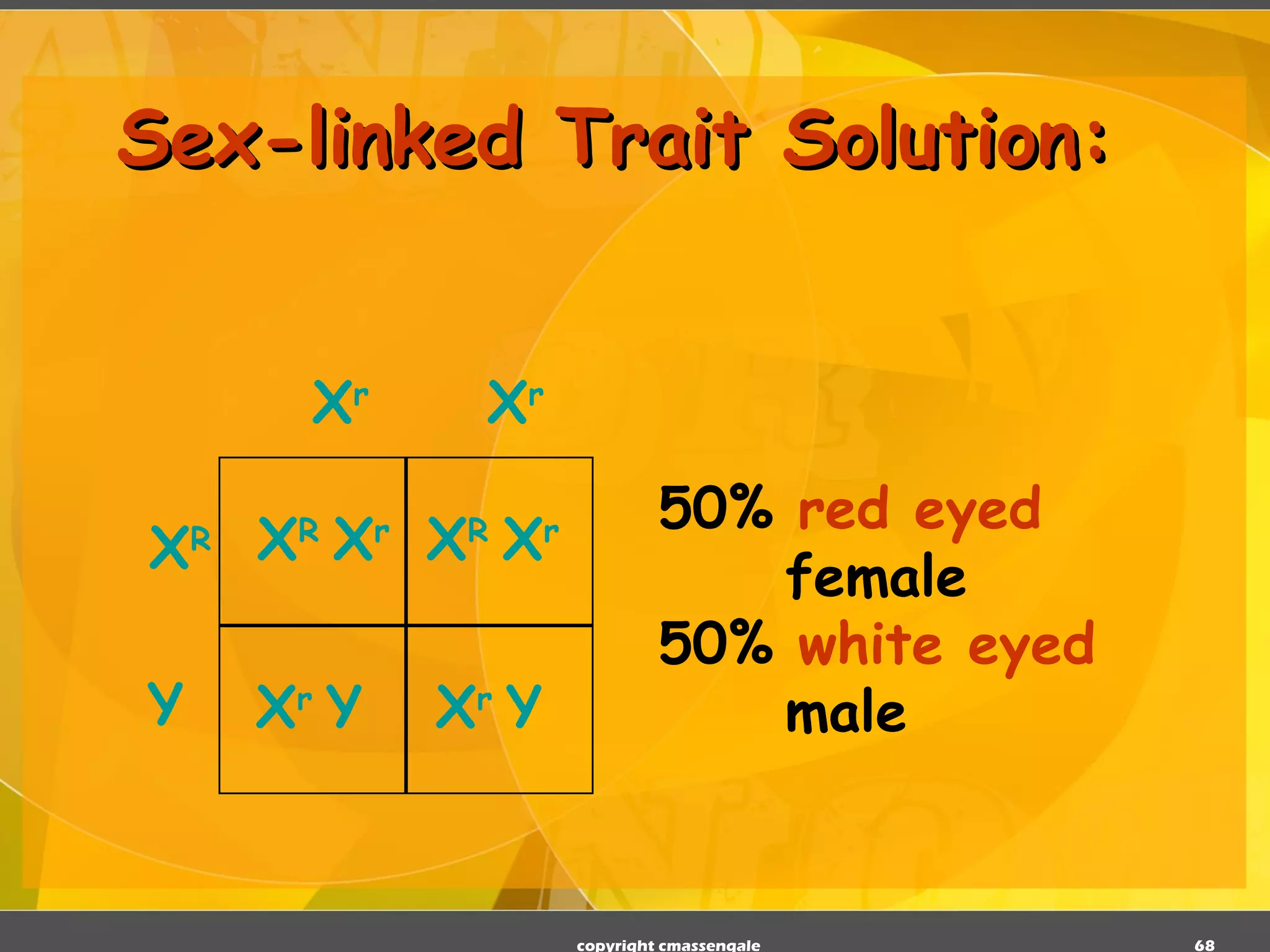 Sex-linked Trait Solution: 50%  red eyed   female 50%  white eyed   male copyright cmassengale X R  X r X r  Y X R  X r X r  Y X R X r   X r Y 