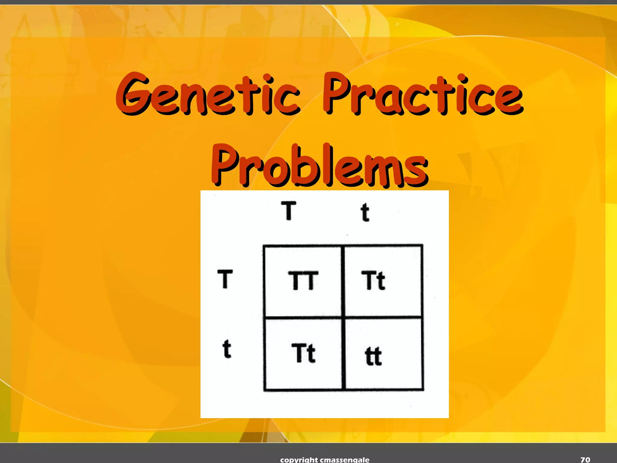 Genetic Practice Problems copyright cmassengale 