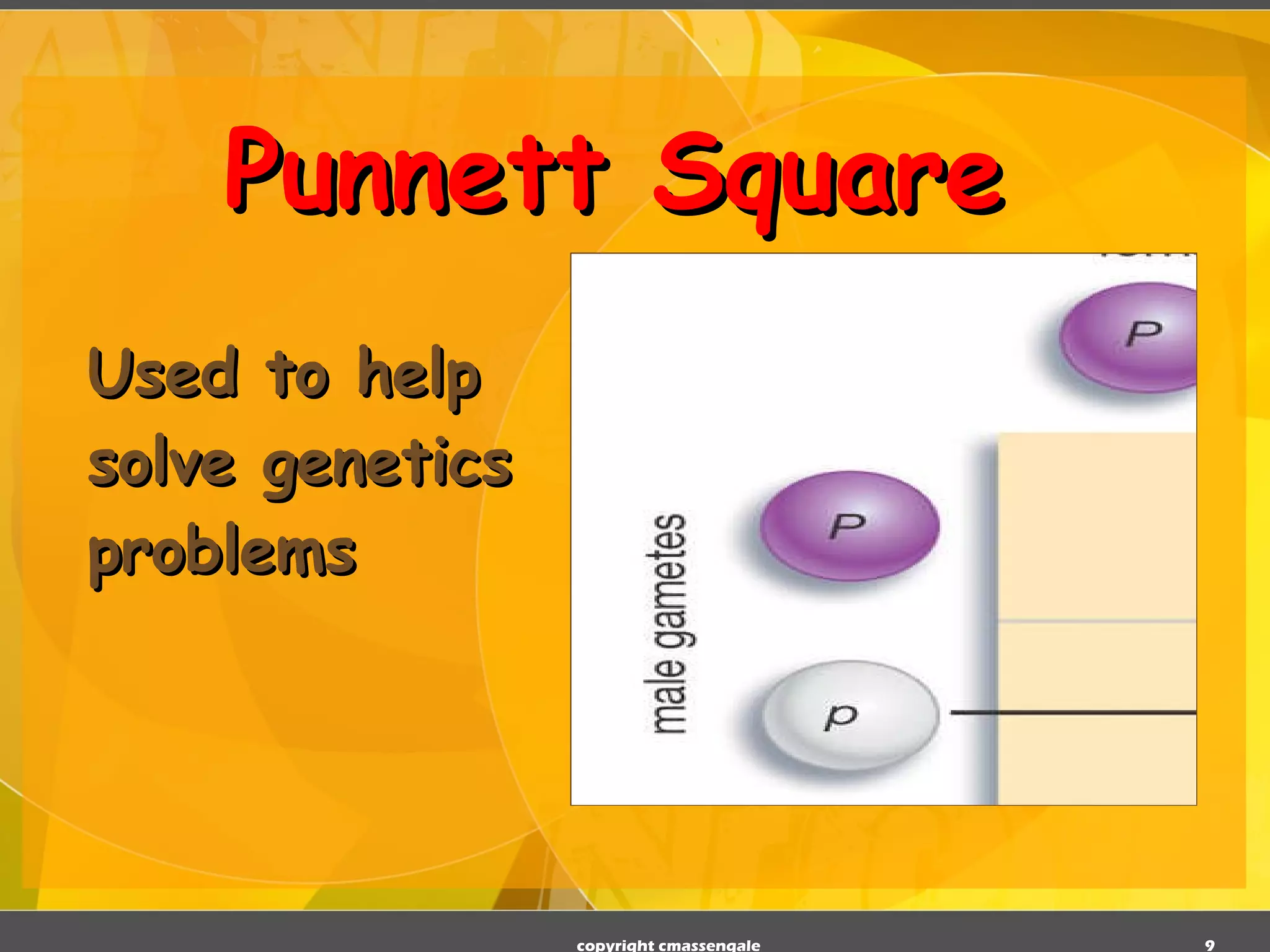 Punnett Square Used to help solve genetics problems copyright cmassengale 