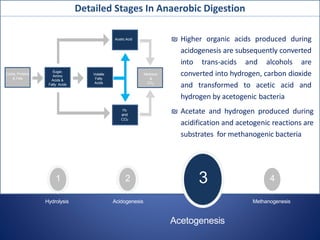 Microbial Encapsulation-An approach for enhancing Anaerobic Digestion ...