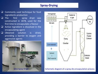 Microbial Encapsulation-An approach for enhancing Anaerobic Digestion ...