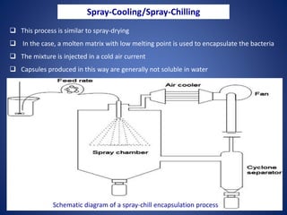 Microbial Encapsulation-An approach for enhancing Anaerobic Digestion ...