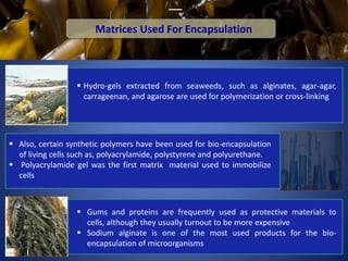 Microbial Encapsulation-An approach for enhancing Anaerobic Digestion ...