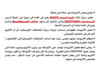 Biology lecture 2012- 3