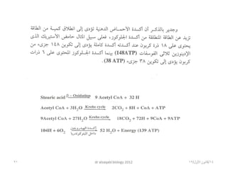Biology lecture 2012- 3