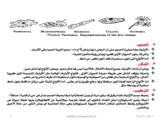 Biology lecture 2012 4