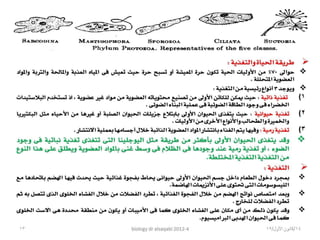 Biology lecture 2012 4