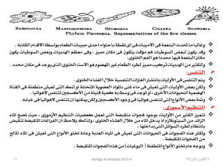 Biology lecture 2012 4