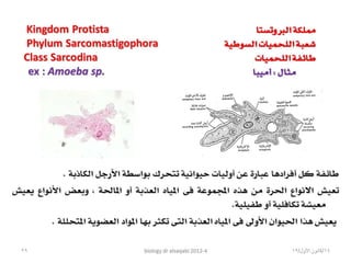 Biology lecture 2012 4