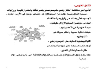 Biology lecture 2012 4