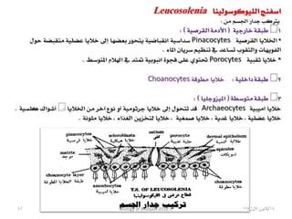Biology lecture 2012 4