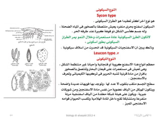 Biology lecture 2012 4