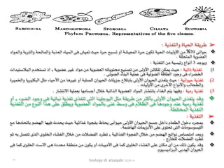 biology dr alsaqabi 2020-4
➢: ‫والتغذية‬ ‫الحياة‬ ‫طريقة‬
❖‫ـواد‬‫م‬‫ـ‬‫ل‬‫وا‬ ‫ـة‬‫ب‬‫ـر‬‫ت‬‫ـ‬‫ل‬‫وا‬ ‫ـة‬‫ح‬‫ـ‬‫ل‬‫ـا‬‫م‬‫ـ‬‫ل‬‫وا‬ ‫ـة‬‫ب‬‫ـذ‬‫ع‬‫ـ‬‫ل‬‫ا‬ ‫ـاه‬‫ي‬‫ـ‬‫م‬‫ـ‬‫ل‬‫ا‬ ‫ـى‬‫ف‬ ‫ـش‬‫ي‬‫ـ‬‫ع‬‫ـ‬‫ت‬ ‫ـث‬‫ي‬‫ـ‬‫ح‬ ‫ـرة‬‫ح‬ ‫ـح‬‫ب‬‫ـ‬‫س‬‫ـ‬‫ت‬ ‫أو‬ ‫ـة‬‫ش‬‫ـ‬‫ي‬‫ـ‬‫ع‬‫ـ‬‫م‬‫ـ‬‫ل‬‫ا‬ ‫ـرة‬‫ح‬ ‫ـون‬‫ك‬‫ـ‬‫ت‬ ‫ـة‬‫ي‬‫ـ‬‫ح‬‫ـ‬‫ل‬‫ا‬ ‫ـات‬‫ي‬‫ـ‬‫ل‬‫األو‬ ‫ـن‬‫م‬ %70 ‫ـى‬‫ل‬‫ـوا‬‫ح‬
. ‫المتحللة‬ ‫العضوية‬
❖: ‫التغذية‬ ‫من‬ ‫رئيسية‬ ‫أنواع‬ 3 ‫ويوجد‬
(1‫ـدات‬‫ي‬‫ـ‬‫ت‬‫ـ‬‫س‬‫ـال‬‫ب‬‫ـ‬‫ل‬‫ا‬ ‫ـدم‬‫خ‬‫ـ‬‫ت‬‫ـ‬‫س‬‫ـ‬‫ت‬ ‫اذ‬ , ‫ـة‬‫ي‬‫ـو‬‫ض‬‫ـ‬‫ع‬ ‫ـر‬‫ي‬‫ـ‬‫غ‬ ‫ـواد‬‫م‬ ‫ـن‬‫م‬ ‫ـة‬‫ي‬‫ـو‬‫ض‬‫ـ‬‫ع‬‫ـ‬‫ل‬‫ا‬ ‫ـه‬‫ت‬‫ـا‬‫ي‬‫ـو‬‫ت‬‫ـ‬‫ح‬‫ـ‬‫م‬ ‫ـع‬‫ي‬‫ـ‬‫ن‬‫ـ‬‫ص‬‫ـ‬‫ت‬ ‫ـن‬‫م‬ ‫ـى‬‫ل‬‫األو‬ ‫ـن‬‫ئ‬‫ـا‬‫ك‬‫ـ‬‫ل‬‫ـ‬‫ل‬ ‫ـن‬‫ك‬‫ـ‬‫م‬‫ـ‬‫ي‬ ‫ـث‬‫ي‬‫ـ‬‫ح‬ : ‫ـة‬‫ي‬‫ـ‬‫ت‬‫ذا‬ ‫ـة‬‫ي‬‫ـذ‬‫غ‬‫ـ‬‫ت‬
. ‫الضوئى‬ ‫البناء‬ ‫عملية‬ ‫فى‬ ‫الضوئية‬ ‫الطاقة‬ ‫وجود‬ ‫فى‬ ‫الخضراء‬
(2‫ـرة‬‫ي‬‫ـ‬‫م‬‫ـ‬‫خ‬‫ـ‬‫ل‬‫وا‬ ‫ـا‬‫ي‬‫ـر‬‫ي‬‫ـ‬‫ت‬‫ـ‬‫ك‬‫ـ‬‫ب‬‫ـ‬‫ل‬‫ا‬ ‫ـل‬‫ث‬‫ـ‬‫م‬ ‫ـاء‬‫ي‬‫ـ‬‫ح‬‫األ‬ ‫ـن‬‫م‬ ‫ـا‬‫ه‬‫ـر‬‫ي‬‫ـ‬‫غ‬ ‫أو‬ ‫ـة‬‫ب‬‫ـ‬‫ل‬‫ـ‬‫ص‬‫ـ‬‫ل‬‫ا‬ ‫ـوان‬‫ي‬‫ـ‬‫ح‬‫ـ‬‫ل‬‫ا‬ ‫ـات‬‫ئ‬‫ـ‬‫ي‬‫ـز‬‫ج‬ ‫ـالع‬‫ت‬‫ـ‬‫ب‬‫ـا‬‫ب‬ ‫ـى‬‫ل‬‫األو‬ ‫ـوان‬‫ي‬‫ـ‬‫ح‬‫ـ‬‫ل‬‫ا‬ ‫ـذى‬‫غ‬‫ـ‬‫ت‬‫ـ‬‫ي‬ ‫ـث‬‫ي‬‫ـ‬‫ح‬ : ‫ـة‬‫ي‬‫ـ‬‫ن‬‫ـوا‬‫ي‬‫ـ‬‫ح‬ ‫ـة‬‫ي‬‫ـذ‬‫غ‬‫ـ‬‫ت‬
. ‫األوليات‬ ‫من‬ ‫األخرى‬ ‫واألنواع‬ ‫والطحالب‬
(3. ‫االنتشار‬ ‫بعملية‬ ‫أجسامها‬ ‫خالل‬ ‫الذائبة‬ ‫العضوية‬ ‫المواد‬ ‫بانتشار‬ ‫الغذاء‬ ‫يتم‬ ‫وفيها‬ : ‫رمية‬ ‫تغذية‬
❖‫أو‬ , ‫ـوء‬‫ض‬‫ـ‬‫ل‬‫ا‬ ‫ـود‬‫ج‬‫و‬ ‫ـى‬‫ف‬ ‫ـة‬‫ي‬‫ـ‬‫ت‬‫ـا‬‫ب‬‫ـ‬‫ن‬ ‫ـة‬‫ي‬‫ـذ‬‫غ‬‫ـ‬‫ت‬ ‫ـذى‬‫غ‬‫ـ‬‫ت‬‫ـ‬‫ت‬ ‫ـى‬‫ت‬‫ـ‬‫ل‬‫ا‬ ‫ـا‬‫ن‬‫ـ‬‫ي‬‫ـ‬‫ل‬‫ـ‬‫ج‬‫ـو‬‫ي‬‫ـ‬‫ل‬‫ا‬ ‫ـل‬‫ث‬‫ـ‬‫م‬ ‫ـة‬‫ق‬‫ـ‬‫ي‬‫ـر‬‫ط‬ ‫ـن‬‫م‬ ‫ـر‬‫ث‬‫ـ‬‫ك‬‫ـأ‬‫ب‬ ‫ـى‬‫ل‬‫األو‬ ‫ـوان‬‫ي‬‫ـ‬‫ح‬‫ـ‬‫ل‬‫ا‬ ‫ـذى‬‫غ‬‫ـ‬‫ت‬‫ـ‬‫ي‬ ‫ـد‬‫ق‬‫و‬
‫ـة‬‫ي‬‫ـذ‬‫غ‬‫ـ‬‫ت‬‫ـ‬‫ل‬‫ا‬ ‫ـن‬‫م‬ ‫ـوع‬‫ن‬‫ـ‬‫ل‬‫ا‬ ‫ـذا‬‫ه‬ ‫ـى‬‫ل‬‫ـ‬‫ع‬ ‫ـق‬‫ل‬‫ـ‬‫ط‬‫ـ‬‫ي‬‫و‬ ‫ـة‬‫ي‬‫ـو‬‫ض‬‫ـ‬‫ع‬‫ـ‬‫ل‬‫ا‬ ‫ـواد‬‫م‬‫ـ‬‫ل‬‫ـا‬‫ب‬ ‫ـى‬‫ن‬‫ـ‬‫غ‬ ‫ـط‬‫س‬‫و‬ ‫ـى‬‫ف‬ ‫ـالم‬‫ظ‬‫ـ‬‫ل‬‫ا‬ ‫ـى‬‫ف‬ ‫ـا‬‫ه‬‫ـود‬‫ج‬‫و‬ ‫ـد‬‫ن‬‫ـ‬‫ع‬ ‫ـة‬‫ي‬‫ـ‬‫م‬‫ر‬ ‫ـة‬‫ي‬‫ـذ‬‫غ‬‫ـ‬‫ت‬
.‫المختلطة‬ ‫التغذية‬
➢: ‫التغذية‬
❖‫ـع‬‫م‬ ‫ـا‬‫ه‬‫ـاد‬‫ح‬‫ـ‬‫ت‬‫ـا‬‫ب‬ ‫ـم‬‫ض‬‫ـ‬‫ه‬‫ـ‬‫ل‬‫ا‬ ‫ـا‬‫ه‬‫ـ‬‫ي‬‫ـ‬‫ف‬ ‫ـدث‬‫ح‬‫ـ‬‫ي‬ ‫ـث‬‫ي‬‫ـ‬‫ح‬ ‫ـة‬‫ي‬‫ـ‬‫ئ‬‫ـذا‬‫غ‬ ‫ـوة‬‫ج‬‫ـ‬‫ف‬‫ـ‬‫ب‬ ‫ـاط‬‫ح‬‫ـ‬‫ي‬ ‫ـى‬‫ن‬‫ـوا‬‫ي‬‫ـ‬‫ح‬ ‫ـى‬‫ل‬‫األو‬ ‫ـوان‬‫ي‬‫ـ‬‫ح‬‫ـ‬‫ل‬‫ا‬ ‫ـم‬‫س‬‫ـ‬‫ج‬ ‫ـل‬‫خ‬‫دا‬ ‫ـام‬‫ع‬‫ـ‬‫ط‬‫ـ‬‫ل‬‫ا‬ ‫ـول‬‫خ‬‫د‬ ‫ـرد‬‫ج‬‫ـ‬‫م‬‫ـ‬‫ب‬
.‫الهاضمة‬ ‫األنزيمات‬ ‫على‬ ‫تحتوى‬ ‫التى‬ ‫الليسوسومات‬
❖‫ـم‬‫ث‬ ‫ـه‬‫ب‬ ‫ـل‬‫ص‬‫ـ‬‫ت‬‫ـ‬‫ت‬ ‫ـذى‬‫ل‬‫ا‬ ‫ـوى‬‫ل‬‫ـ‬‫خ‬‫ـ‬‫ل‬‫ا‬ ‫ـاء‬‫ش‬‫ـ‬‫غ‬‫ـ‬‫ل‬‫ا‬ ‫ـالل‬‫خ‬ ‫ـن‬‫م‬ ‫ـالت‬‫ض‬‫ـ‬‫ف‬‫ـ‬‫ل‬‫ا‬ ‫ـرد‬‫ط‬‫ـ‬‫ت‬ , ‫ـة‬‫ي‬‫ـ‬‫ئ‬‫ـذا‬‫غ‬‫ـ‬‫ل‬‫ا‬ ‫ـوة‬‫ج‬‫ـ‬‫ف‬‫ـ‬‫ل‬‫ا‬ ‫ـالل‬‫خ‬ ‫ـن‬‫م‬ ‫ـم‬‫ض‬‫ـ‬‫ه‬‫ـ‬‫ل‬‫ا‬ ‫ـج‬‫ت‬‫ـوا‬‫ن‬ ‫ـاص‬‫ص‬‫ـ‬‫ت‬‫ـ‬‫م‬‫ا‬ ‫ـد‬‫ع‬‫ـ‬‫ب‬‫و‬
. ‫للخارج‬ ‫الفضالت‬ ‫تطرد‬
❖‫ـى‬‫ف‬ ‫ـا‬‫م‬‫ـ‬‫ك‬ ‫ـوى‬‫ل‬‫ـ‬‫خ‬‫ـ‬‫ل‬‫ا‬ ‫ـت‬‫س‬‫اال‬ ‫ـى‬‫ه‬ ‫ـددة‬‫ح‬‫ـ‬‫م‬ ‫ـة‬‫ق‬‫ـ‬‫ط‬‫ـ‬‫ن‬‫ـ‬‫م‬ ‫ـن‬‫م‬ ‫ـون‬‫ك‬‫ـ‬‫ي‬ ‫أو‬ ‫ـات‬‫ب‬‫ـ‬‫ي‬‫ـ‬‫م‬‫األ‬ ‫ـى‬‫ف‬ ‫ـا‬‫م‬‫ـ‬‫ك‬ ‫ـوى‬‫ل‬‫ـ‬‫خ‬‫ـ‬‫ل‬‫ا‬ ‫ـاء‬‫ش‬‫ـ‬‫غ‬‫ـ‬‫ل‬‫ا‬ ‫ـى‬‫ل‬‫ـ‬‫ع‬ ‫ـان‬‫ك‬‫ـ‬‫م‬ ‫أى‬ ‫ـن‬‫م‬ ‫ـك‬‫ل‬‫ذ‬ ‫ـون‬‫ك‬‫ـ‬‫ي‬ ‫ـد‬‫ق‬‫و‬
.‫البراميسيوم‬ ‫الهدبى‬ ‫الحيوان‬
١٣
 