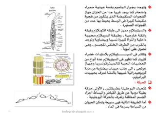 biology dr alsaqabi 2020-4
❖‫ـراء‬‫ـ‬‫ـ‬‫ـ‬‫م‬‫ـ‬‫ـ‬‫ـ‬‫ـ‬‫ح‬ ‫ـة‬‫ـ‬‫ـ‬‫ـ‬‫ي‬‫ـ‬‫ـ‬‫ـ‬‫ـ‬‫ن‬‫ـ‬‫ـ‬‫ـ‬‫ـ‬‫ي‬‫ـ‬‫ـ‬‫ـ‬‫ـ‬‫ع‬ ‫ـة‬‫ـ‬‫ـ‬‫ـ‬‫ع‬‫ـ‬‫ـ‬‫ـ‬‫ـ‬‫ق‬‫ـ‬‫ـ‬‫ـ‬‫ـ‬‫ب‬ ‫ـوم‬‫ـ‬‫ـ‬‫ـ‬‫ع‬‫ـ‬‫ـ‬‫ـ‬‫ـ‬‫ل‬‫ـ‬‫ـ‬‫ـ‬‫ـ‬‫ب‬‫ـ‬‫ـ‬‫ـ‬‫ـ‬‫ل‬‫ا‬ ‫ـوار‬‫ـ‬‫ـ‬‫ـ‬‫ج‬‫ـ‬‫ـ‬‫ـ‬‫ـ‬‫ب‬ ‫ـد‬‫ـ‬‫ـ‬‫ـ‬‫ج‬‫ـو‬‫ـ‬‫ـ‬‫ـ‬‫ت‬‫و‬
‫ـاز‬‫ه‬‫ـ‬‫ج‬ ‫ـزان‬‫خ‬‫ـ‬‫ل‬‫ا‬ ‫ـن‬‫م‬ ‫ـدا‬‫ج‬ ‫ـا‬‫ب‬‫ـ‬‫ي‬‫ـر‬‫ق‬ ‫ـد‬‫ج‬‫ـو‬‫ي‬ ‫ـا‬‫م‬‫ـ‬‫ك‬ ,‫ـة‬‫ح‬‫ـ‬‫ض‬‫وا‬
‫ـوة‬‫ـ‬‫ـ‬‫ج‬‫ـ‬‫ـ‬‫ـ‬‫ف‬ ‫ـن‬‫ـ‬‫ـ‬‫م‬ ‫ـون‬‫ـ‬‫ـ‬‫ك‬‫ـ‬‫ـ‬‫ـ‬‫ت‬‫ـ‬‫ـ‬‫ـ‬‫ي‬ ‫ـذى‬‫ـ‬‫ـ‬‫ل‬‫ا‬ ‫ـة‬‫ـ‬‫ـ‬‫ض‬‫ـ‬‫ـ‬‫ـ‬‫ب‬‫ـ‬‫ـ‬‫ـ‬‫ق‬‫ـ‬‫ـ‬‫ـ‬‫ت‬‫ـ‬‫ـ‬‫ـ‬‫م‬‫ـ‬‫ـ‬‫ـ‬‫ل‬‫ا‬ ‫ـوات‬‫ـ‬‫ـ‬‫ج‬‫ـ‬‫ـ‬‫ـ‬‫ف‬‫ـ‬‫ـ‬‫ـ‬‫ل‬‫ا‬
‫ـن‬‫م‬ ‫ـدد‬‫ع‬ ‫ـا‬‫ه‬‫ـ‬‫ب‬ ‫ـط‬‫ي‬‫ـ‬‫ح‬‫ـ‬‫ي‬ ‫ـط‬‫س‬‫ـو‬‫ل‬‫ا‬ ‫ـى‬‫ف‬ ‫ـرة‬‫ي‬‫ـ‬‫ب‬‫ـ‬‫ك‬ ‫ـة‬‫ض‬‫ـ‬‫ب‬‫ـ‬‫ق‬‫ـ‬‫ت‬‫ـ‬‫م‬
. ‫الصغيرة‬ ‫الفجوات‬
❖‫ـة‬‫ق‬‫ـ‬‫ي‬‫ـ‬‫ق‬‫ر‬ ‫ـالزم‬‫ب‬‫ـو‬‫ت‬‫ـ‬‫ك‬‫ا‬ ‫ـة‬‫ق‬‫ـ‬‫ب‬‫ـ‬‫ط‬ ‫ـى‬‫ل‬‫ا‬ ‫ـز‬‫ي‬‫ـ‬‫م‬‫ـ‬‫م‬ ‫ـالزم‬‫ب‬‫ـو‬‫ت‬‫ـي‬‫س‬‫ـ‬‫ل‬‫وا‬
‫ـة‬‫ـ‬‫ـ‬‫ـ‬‫ب‬‫ـ‬‫ـ‬‫ـ‬‫ـ‬‫ب‬‫ـ‬‫ـ‬‫ـ‬‫ـ‬‫ح‬‫ـ‬‫ـ‬‫ـ‬‫ـ‬‫م‬ ‫ـالزم‬‫ـ‬‫ـ‬‫ـ‬‫ب‬‫ـدو‬‫ـ‬‫ـ‬‫ـ‬‫ن‬‫ا‬ ‫ـة‬‫ـ‬‫ـ‬‫ـ‬‫ق‬‫ـ‬‫ـ‬‫ـ‬‫ـ‬‫ب‬‫ـ‬‫ـ‬‫ـ‬‫ـ‬‫ط‬‫و‬ , ‫ـة‬‫ـ‬‫ـ‬‫ـ‬‫ي‬‫ـ‬‫ـ‬‫ـ‬‫ـ‬‫ج‬‫ـار‬‫ـ‬‫ـ‬‫ـ‬‫خ‬ ‫ـة‬‫ـ‬‫ـ‬‫ـ‬‫ق‬‫ـ‬‫ـ‬‫ـ‬‫ـ‬‫ئ‬‫را‬
‫ـد‬‫ـ‬‫ج‬‫ـو‬‫ـ‬‫ت‬‫و‬ ‫ـة‬‫ـ‬‫ي‬‫ـاو‬‫ـ‬‫ض‬‫ـ‬‫ـ‬‫ي‬‫ـ‬‫ـ‬‫ب‬‫و‬ ‫ـا‬‫ـ‬‫ي‬‫ـ‬‫ـ‬‫ب‬‫ـ‬‫ـ‬‫س‬‫ـ‬‫ـ‬‫ن‬ ‫ـرة‬‫ـ‬‫ي‬‫ـ‬‫ـ‬‫ب‬‫ـ‬‫ـ‬‫ك‬ ‫ـواة‬‫ـ‬‫ن‬‫ـ‬‫ـ‬‫ل‬‫وا‬ ‫ـة‬‫ـ‬‫ي‬‫ـ‬‫ـ‬‫ل‬‫ـ‬‫ـ‬‫خ‬‫دا‬
‫ـى‬‫ـ‬‫ـ‬‫ه‬‫و‬ , ‫ـم‬‫ـ‬‫ـ‬‫س‬‫ـ‬‫ـ‬‫ـ‬‫ج‬‫ـ‬‫ـ‬‫ـ‬‫ل‬‫ـ‬‫ـ‬‫ـ‬‫ل‬ ‫ـى‬‫ـ‬‫ـ‬‫ف‬‫ـ‬‫ـ‬‫ـ‬‫ل‬‫ـ‬‫ـ‬‫ـ‬‫خ‬‫ـ‬‫ـ‬‫ـ‬‫ل‬‫ا‬ ‫ـرف‬‫ـ‬‫ـ‬‫ط‬‫ـ‬‫ـ‬‫ـ‬‫ل‬‫ا‬ ‫ـن‬‫ـ‬‫ـ‬‫م‬ ‫ـرب‬‫ـ‬‫ـ‬‫ق‬‫ـ‬‫ـ‬‫ـ‬‫ل‬‫ـا‬‫ـ‬‫ـ‬‫ب‬
. ‫النوية‬ ‫على‬ ‫تحتوى‬
❖‫خضراء‬ ‫بالستيدات‬ ‫ـتوبالزم‬‫ـ‬‫ـ‬‫ـ‬‫ـ‬‫ـ‬‫ـ‬‫ـ‬‫ـ‬‫ـ‬‫ـ‬‫ـ‬‫ـ‬‫ـ‬‫ـ‬‫ـ‬‫ـ‬‫ـ‬‫ـ‬‫ـ‬‫ـ‬‫ـ‬‫ـ‬‫ـ‬‫ـ‬‫ـ‬‫ـ‬‫ـ‬‫ـ‬‫ـ‬‫ـ‬‫ـ‬‫ـ‬‫ـ‬‫ـ‬‫ـ‬‫ـ‬‫ـ‬‫ـ‬‫ـ‬‫ـ‬‫ـ‬‫ـ‬‫ـ‬‫ـ‬‫ي‬‫الس‬ ‫فى‬ ‫وتنتشر‬
‫ـن‬‫م‬ ‫ـواع‬‫ن‬‫أ‬ ‫ـدة‬‫ع‬ ‫ـالزم‬‫ب‬‫ـو‬‫ت‬‫ـي‬‫س‬‫ـ‬‫ل‬‫ا‬ ‫ـى‬‫ف‬ ‫ـر‬‫ه‬‫ـ‬‫ظ‬‫ـ‬‫ت‬ ‫ـا‬‫م‬‫ـ‬‫ك‬ ,‫ـرة‬‫ي‬‫ـ‬‫ث‬‫ـ‬‫ك‬
‫ـاز‬‫ـ‬‫ـ‬‫ـ‬‫ه‬‫ـ‬‫ـ‬‫ـ‬‫ـ‬‫ج‬‫و‬ ‫ـا‬‫ـ‬‫ـ‬‫ـ‬‫ي‬‫ـدر‬‫ـ‬‫ـ‬‫ـ‬‫ن‬‫ـو‬‫ـ‬‫ـ‬‫ـ‬‫ك‬‫ـو‬‫ـ‬‫ـ‬‫ـ‬‫ت‬‫ـ‬‫ـ‬‫ـ‬‫ـ‬‫ي‬‫ـ‬‫ـ‬‫ـ‬‫ـ‬‫م‬‫ـ‬‫ـ‬‫ـ‬‫ـ‬‫ل‬‫ـا‬‫ـ‬‫ـ‬‫ـ‬‫ك‬ ‫ـة‬‫ـ‬‫ـ‬‫ـ‬‫ي‬‫ـ‬‫ـ‬‫ـ‬‫ـ‬‫ح‬‫ـ‬‫ـ‬‫ـ‬‫ـ‬‫ل‬‫ا‬ ‫ـات‬‫ـ‬‫ـ‬‫ـ‬‫ي‬‫ـ‬‫ـ‬‫ـ‬‫ـ‬‫ض‬‫ـ‬‫ـ‬‫ـ‬‫ـ‬‫ع‬‫ـ‬‫ـ‬‫ـ‬‫ـ‬‫ل‬‫ا‬
‫ـادة‬‫م‬ ‫ـن‬‫م‬ ‫ـة‬‫ي‬‫ـاو‬‫ض‬‫ـ‬‫ي‬‫ـ‬‫ب‬ ‫ـات‬‫ب‬‫ـ‬‫ي‬‫ـ‬‫ب‬‫ـ‬‫ح‬ ‫ـب‬‫ن‬‫ـا‬‫ج‬ ‫ـى‬‫ل‬‫ا‬ , ‫ـى‬‫ج‬‫ـ‬‫ل‬‫ـو‬‫ج‬
‫ـات‬‫ـ‬‫ب‬‫ـ‬‫ـ‬‫ي‬‫ـ‬‫ـ‬‫ب‬‫ـ‬‫ـ‬‫ح‬‫ـ‬‫ـ‬‫ب‬ ‫ـرف‬‫ـ‬‫ع‬‫ـ‬‫ـ‬‫ت‬ ‫ـا‬‫ـ‬‫ش‬‫ـ‬‫ـ‬‫ن‬‫ـ‬‫ـ‬‫ل‬‫ـا‬‫ـ‬‫ب‬ ‫ـة‬‫ـ‬‫ه‬‫ـ‬‫ـ‬‫ي‬‫ـ‬‫ـ‬‫ب‬‫ـ‬‫ـ‬‫ش‬ ‫ـة‬‫ـ‬‫ي‬‫ـ‬‫ـ‬‫ت‬‫ـدرا‬‫ـ‬‫ي‬‫ـ‬‫ـ‬‫ه‬‫ـو‬‫ـ‬‫ب‬‫ـر‬‫ـ‬‫ك‬
.‫البراميلوم‬
❑: ‫الحركة‬
❖‫ـة‬‫ـ‬‫ك‬‫ـر‬‫ـ‬‫ح‬ ‫ـى‬‫ـ‬‫ل‬‫األو‬ , ‫ـن‬‫ـ‬‫ي‬‫ـ‬‫ـ‬‫ت‬‫ـ‬‫ـ‬‫ق‬‫ـ‬‫ـ‬‫ي‬‫ـر‬‫ـ‬‫ط‬‫ـ‬‫ـ‬‫ب‬ ‫ـا‬‫ـ‬‫ن‬‫ـ‬‫ـ‬‫ي‬‫ـ‬‫ـ‬‫ل‬‫ـ‬‫ـ‬‫ج‬‫ـو‬‫ـ‬‫ي‬‫ـ‬‫ـ‬‫ل‬‫ا‬ ‫ـرك‬‫ـ‬‫ح‬‫ـ‬‫ـ‬‫ت‬‫ـ‬‫ـ‬‫ت‬
‫ـزاء‬‫ج‬‫أ‬ ‫ـاط‬‫س‬‫ـ‬‫ب‬‫ـ‬‫ن‬‫وا‬ ‫ـاض‬‫ب‬‫ـ‬‫ق‬‫ـ‬‫ن‬‫ا‬ ‫ـق‬‫ي‬‫ـر‬‫ط‬ ‫ـن‬‫ع‬ ‫ـة‬‫ي‬‫دود‬ ‫ـة‬‫ئ‬‫ـ‬‫ي‬‫ـ‬‫ط‬‫ـ‬‫ب‬
. ‫اليوجلينية‬ ‫بالحركة‬ ‫وتعرف‬ ‫المختلفة‬ ‫الجسم‬
❖‫ـوان‬‫ي‬‫ـ‬‫ح‬‫ـ‬‫ل‬‫ا‬ ‫ـن‬‫ك‬‫ـ‬‫م‬‫ـ‬‫ت‬‫و‬ ‫ـة‬‫ع‬‫ـ‬‫ي‬‫ـر‬‫س‬ ‫ـى‬‫ه‬‫ـ‬‫ف‬ ‫ـة‬‫ي‬‫ـ‬‫ن‬‫ـا‬‫ث‬‫ـ‬‫ل‬‫ا‬ ‫ـة‬‫ق‬‫ـ‬‫ي‬‫ـر‬‫ط‬‫ـ‬‫ل‬‫ا‬ ‫ـا‬‫م‬‫أ‬
. ‫الماء‬ ‫فى‬ ‫بسرعة‬ ‫السباحة‬ ‫من‬
٢٠
 