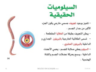 BIOLOGY DR ALSAQABI 2020
‫السيلوميات‬
‫الحقيقية‬
-‫الجزء‬ ‫يكون‬ ‫خارجي‬ ‫جسمي‬ ‫تجويف‬ ‫بوجود‬ ‫تتميز‬
. ‫الجسم‬ ‫جدار‬ ‫من‬ ‫األكبر‬
-. ‫المفلطحة‬ ‫الخاليا‬ ‫من‬ ‫بطبقة‬ ‫التجويف‬ ‫يبطن‬
-‫و‬ ‫الجداري‬ ‫بالبريتون‬ ‫الخارجية‬ ‫الطالئية‬ ‫تسمى‬
. ‫الحشوي‬ ‫بالبريتون‬ ‫الداخلية‬
-‫األعضاء‬ ‫يحمي‬ ، ‫للجسم‬ ‫صالبة‬ ‫يعطي‬ ‫السيلوم‬
‫والقناة‬ ‫الجسم‬ ‫عضالت‬ ‫بحركة‬ ‫يسمح‬ ، ‫الداخلية‬
. ‫الهضمية‬
١٦ 23/03/41
 
