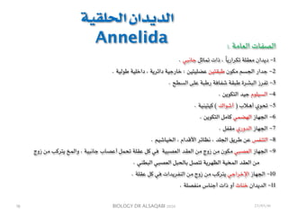 BIOLOGY DR ALSAQABI 2020
‫الحلقية‬ ‫الديدان‬
Annelida : ‫العامة‬ ‫الصفات‬
. ‫جانبي‬ ‫تماثل‬ ‫ذات‬ ، ً‫ا‬‫تكراري‬ ‫معقلة‬ ‫ديدان‬ -1
. ‫طولية‬ ‫داخلية‬ ، ‫دائرية‬ ‫خارجية‬ : ‫عضليتين‬ ‫طبقتين‬ ‫مكون‬ ‫الجسم‬ ‫جدار‬ -2
. ‫السطح‬ ‫على‬ ‫رطبة‬ ‫شفافة‬ ‫طبقة‬ ‫البشرة‬ ‫تفرز‬ -3
. ‫التكوين‬ ‫جيد‬ ‫السيلوم‬ -4
. ‫كيتينية‬ ( ‫أشواك‬ ) ‫أهالب‬ ‫تحوي‬ -5
. ‫التكوين‬ ‫كامل‬ ‫الهضمي‬ ‫الجهاز‬ -6
. ‫مقفل‬ ‫الدوري‬ ‫الجهاز‬ -7
. ‫الخياشيم‬ ، ‫األقدام‬ ‫نظائر‬ ، ‫الجلد‬ ‫طريق‬ ‫عن‬ ‫التنفس‬ -8
‫زوج‬ ‫من‬ ‫يتركب‬ ‫والمخ‬ ، ‫جانبية‬ ‫أعصاب‬ ‫تحمل‬ ‫عقلة‬ ‫كل‬ ‫في‬ ‫العصبية‬ ‫العقد‬ ‫من‬ ‫زوج‬ ‫من‬ ‫مكون‬ ‫العصبي‬ ‫الجهاز‬ -9
. ‫البطني‬ ‫العصبي‬ ‫بالحبل‬ ‫تتصل‬ ‫الظهرية‬ ‫المخية‬ ‫العقد‬ ‫من‬
. ‫عقلة‬ ‫كل‬ ‫في‬ ‫النفريدات‬ ‫من‬ ‫زوج‬ ‫من‬ ‫يتركب‬ ‫اإلخراجي‬ ‫الجهاز‬ -10
. ‫منفصلة‬ ‫أجناس‬ ‫ذات‬ ‫أو‬ ‫خناث‬ ‫الديدان‬ -11
١٧ 23/03/41
 