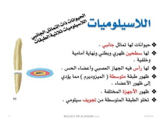 BIOLOGY DR ALSAQABI 2020
❖. ‫جانبي‬ ‫تماثل‬ ‫لها‬ ‫حيوانات‬
❖‫أمامية‬ ‫ونهاية‬ ‫وبطني‬ ‫ظهري‬ ‫سطحين‬ ‫لها‬
. ‫وخلفية‬
❖. ‫الحس‬ ‫وأعضاء‬ ‫العصبي‬ ‫الجهاز‬ ‫فيه‬ ‫رأس‬ ‫لها‬
❖‫يؤدي‬ ‫مما‬ ( ‫الميزوديرم‬ ) ‫متوسطة‬ ‫طبقة‬ ‫ظهور‬
. ‫األعضاء‬ ‫ظهور‬ ‫إلى‬
❖. ‫المختلفة‬ ‫األجهزة‬ ‫ظهور‬
❖. ‫سيلومي‬ ‫تجويف‬ ‫من‬ ‫المتوسطة‬ ‫الطبقة‬ ‫تخلو‬
٧
‫الالسيلوميات‬
‫ي‬‫ب‬‫ن‬‫ا‬‫ج‬‫ل‬‫ا‬ ‫ل‬‫ث‬‫ا‬‫م‬‫ت‬‫ل‬‫ا‬ ‫ت‬‫ا‬‫ذ‬ ‫ت‬‫ا‬‫ن‬‫ا‬‫و‬‫ي‬‫ح‬‫ل‬‫ا‬
‫ت‬‫ا‬‫ق‬‫ب‬‫ط‬‫ل‬‫ا‬ ‫ة‬‫ي‬‫ث‬‫ال‬‫ث‬ ‫ت‬‫ا‬‫ي‬‫م‬‫و‬‫ل‬‫ي‬‫س‬‫ال‬‫ل‬‫ا‬
23/03/41
 