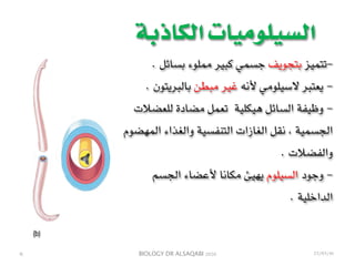 BIOLOGY DR ALSAQABI 2020
‫الكاذبة‬ ‫السيلوميات‬
-. ‫بسائل‬ ‫مملوء‬ ‫كبير‬ ‫جسمي‬ ‫بتجويف‬ ‫تتميز‬
-. ‫بالبريتون‬ ‫مبطن‬ ‫غير‬ ‫ألنه‬ ‫السيلومي‬ ‫يعتبر‬
-‫للعضالت‬ ‫مضادة‬ ‫تعمل‬ ‫هيكلية‬ ‫السائل‬ ‫وظيفة‬
‫المهضوم‬ ‫والغذاء‬ ‫التنفسية‬ ‫الغازات‬ ‫نقل‬ ، ‫الجسمية‬
. ‫والفضالت‬
-‫الجسم‬ ‫ألعضاء‬ ‫مكانا‬ ‫يهيئ‬ ‫السيلوم‬ ‫وجود‬
. ‫الداخلية‬
٨ 23/03/41
 