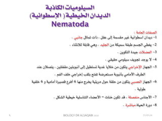 BIOLOGY DR ALSAQABI 2020
‫الكاذبة‬ ‫السيلوميات‬
(‫اإلسطوانية‬ ) ‫الخيطية‬ ‫الديدان‬
Nematoda
: ‫العامة‬ ‫الصفات‬
. ‫جانبي‬ ‫تماثل‬ ‫ذات‬ ، ‫عقل‬ ‫إلى‬ ‫مقسمة‬ ‫غير‬ ‫اسطوانية‬ ‫ديدان‬ -1
. ‫لالنثناء‬ ‫قابلة‬ ‫وهي‬ ، ‫الجليد‬ ‫من‬ ‫سميكة‬ ‫طبقة‬ ‫الجسم‬ ‫يغطي‬ -2
. ‫التكوين‬ ‫جيدة‬ ‫العضالت‬ -3
. ‫حقيقي‬ ‫سيلومي‬ ‫تجويف‬ ‫يوجد‬ ‫ال‬ -4
‫عند‬ ‫يتصالن‬ ، ‫مقفلتين‬ ‫أنبوبتين‬ ‫إلى‬ ‫تستطيل‬ ‫غدية‬ ‫خاليا‬ ‫من‬ ‫يتكون‬ ‫اإلخراجي‬ ‫الجهاز‬ -5
. ‫الفم‬ ‫خلف‬ ‫إخراجي‬ ‫بثقب‬ ‫تفتح‬ ‫مستعرضة‬ ‫بأنبوبة‬ ‫األمامي‬ ‫الطرف‬
‫خلفية‬ 6 ‫و‬ ‫أمامية‬ ‫قصيرة‬ ‫أفرع‬ 6 ‫منها‬ ‫يخرج‬ ‫مريئية‬ ‫حول‬ ‫حلقة‬ ‫من‬ ‫يتكون‬ ‫العصبي‬ ‫الجهاز‬ -6
. ‫طولية‬
. ‫الشكل‬ ‫خيطية‬ ‫التناسلية‬ ‫األعضاء‬ – ‫خناث‬ ‫تكون‬ ‫قد‬ ، ‫منفصلة‬ ‫األجناس‬ -7
. ‫مباشرة‬ ‫الحياة‬ ‫دورة‬ -8
٩ 23/03/41
 