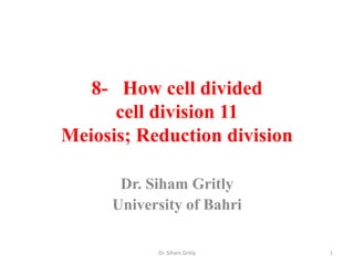 8- How cell divided
cell division 11
Meiosis; Reduction division
Dr. Siham Gritly
University of Bahri
Dr. Siham Gritly 1
 