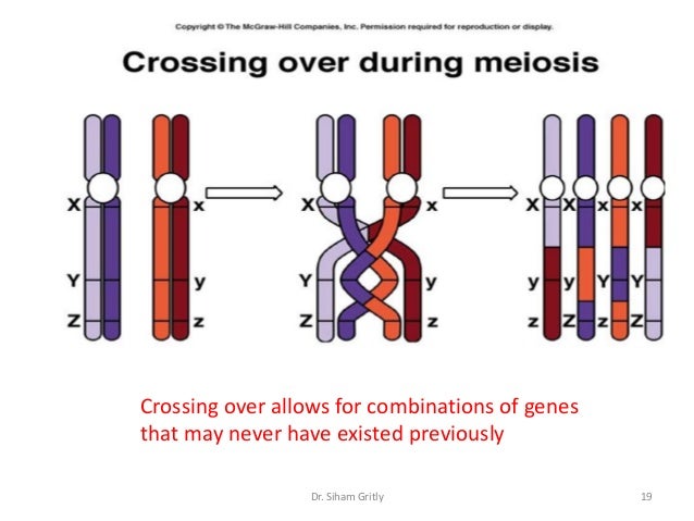 Biology lecture 7 how cell divided cell division 2