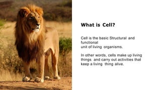 Biology lesson 1 " CELL THE FUNDAMENTAL UNIT OF LIFE "