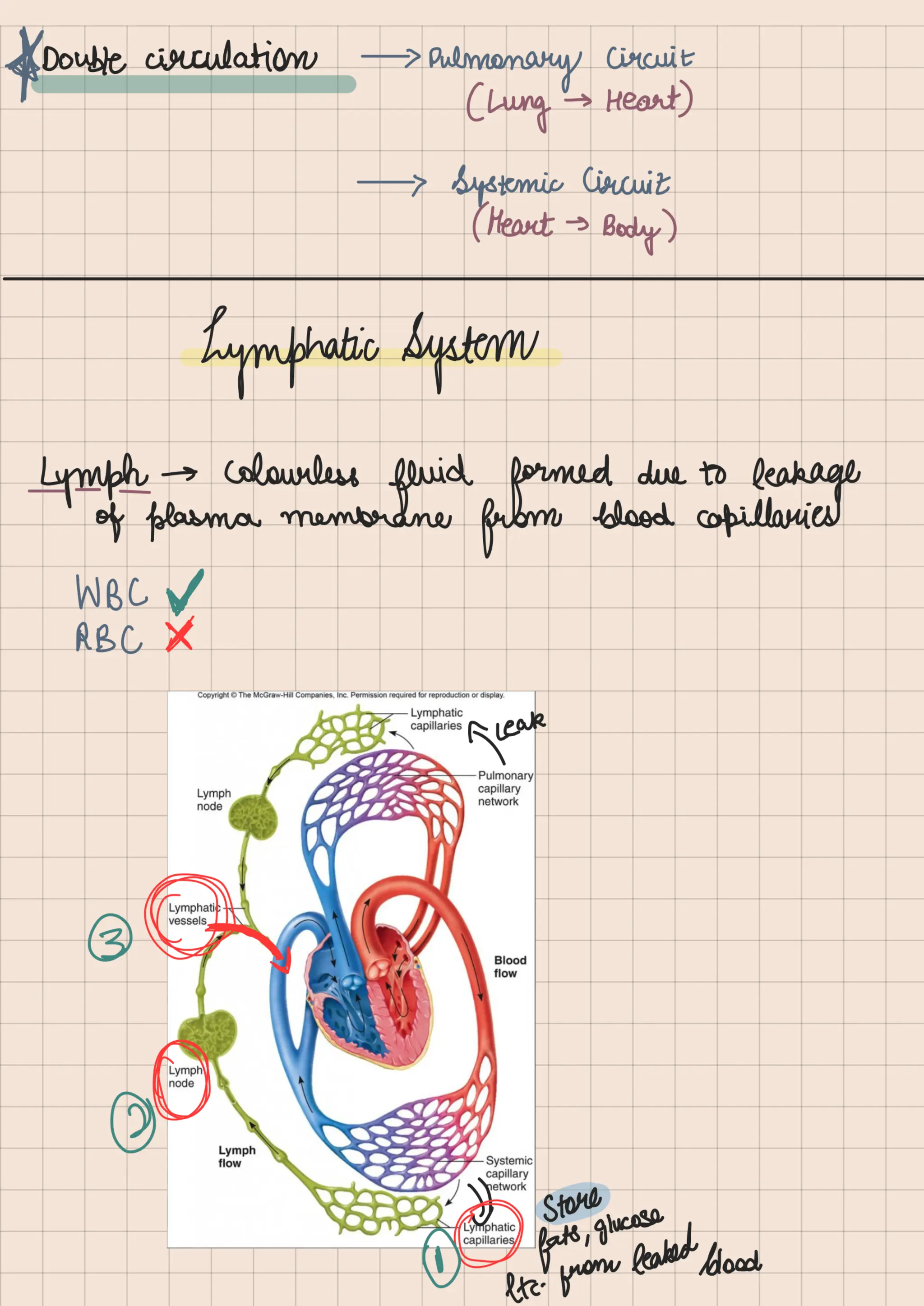 Biology Life Processes Class 10 notes.pdf