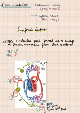 Biology Life Processes Class 10 notes.pdf