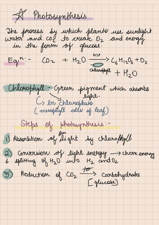 Biology Life Processes Class 10 notes.pdf