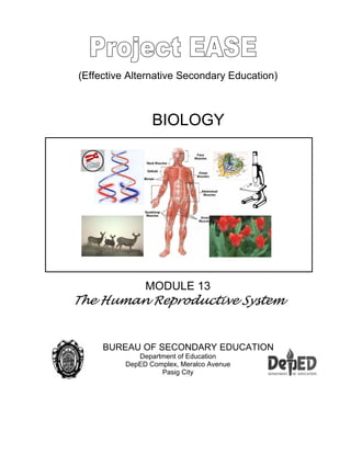 (Effective Alternative Secondary Education)
BIOLOGY
MODULE 13
The Human Reproductive System
BUREAU OF SECONDARY EDUCATION
Department of Education
DepED Complex, Meralco Avenue
Pasig City
 