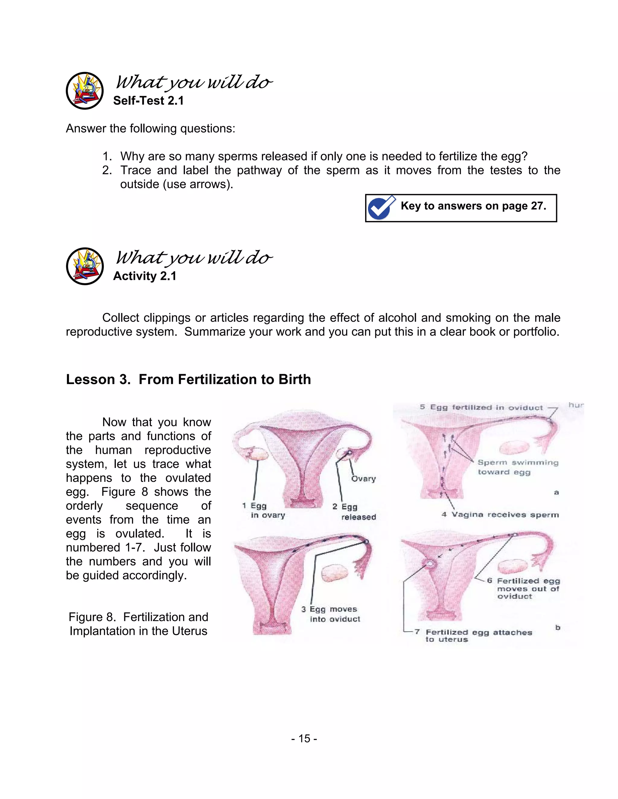- 15 -
What you will do
Self-Test 2.1
Answer the following questions:
1. Why are so many sperms released if only one is needed to fertilize the egg?
2. Trace and label the pathway of the sperm as it moves from the testes to the
outside (use arrows).
What you will do
Activity 2.1
Collect clippings or articles regarding the effect of alcohol and smoking on the male
reproductive system. Summarize your work and you can put this in a clear book or portfolio.
Lesson 3. From Fertilization to Birth
Now that you know
the parts and functions of
the human reproductive
system, let us trace what
happens to the ovulated
egg. Figure 8 shows the
orderly sequence of
events from the time an
egg is ovulated. It is
numbered 1-7. Just follow
the numbers and you will
be guided accordingly.
Figure 8. Fertilization and
Implantation in the Uterus
Key to answers on page 27.
 