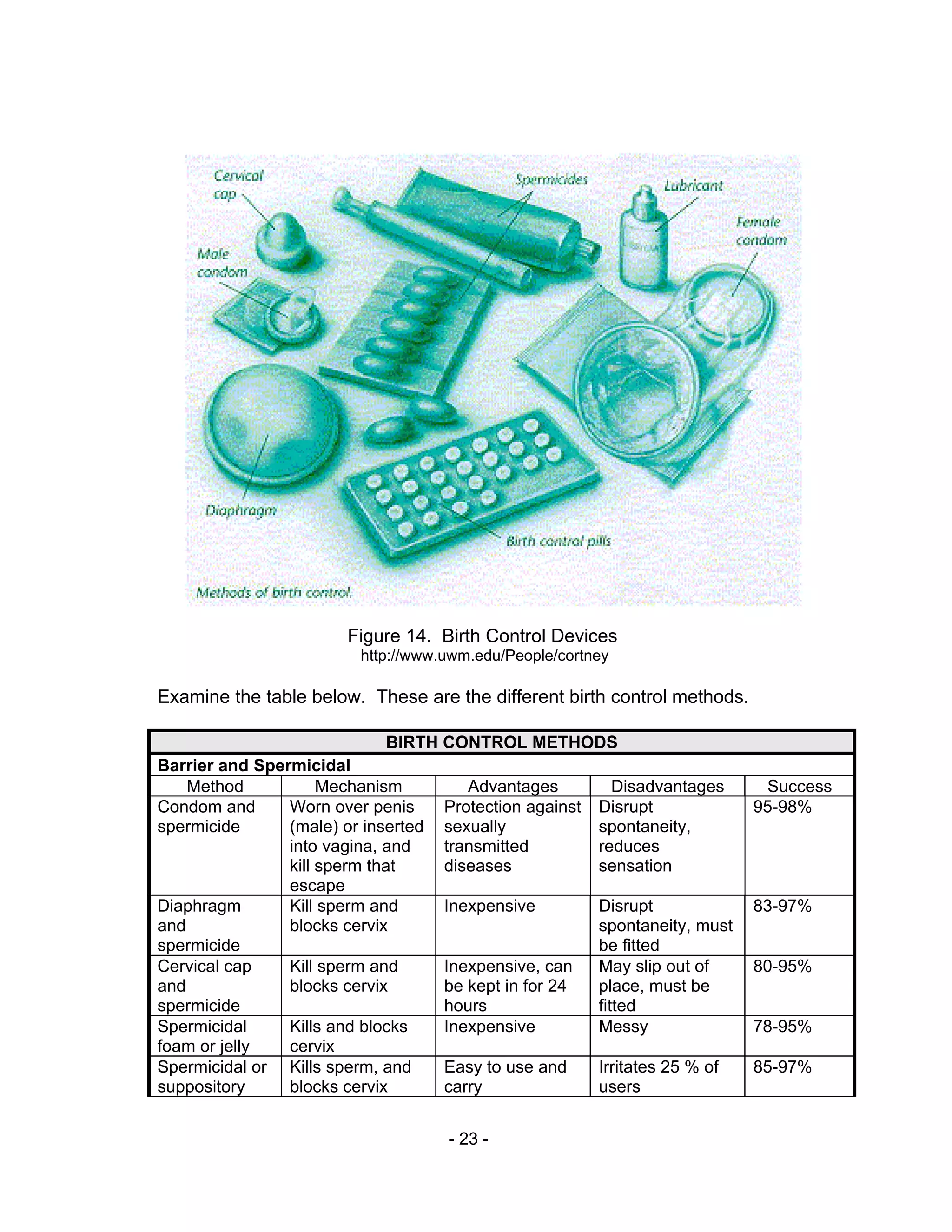 - 23 -
Figure 14. Birth Control Devices
http://www.uwm.edu/People/cortney
Examine the table below. These are the different birth control methods.
BIRTH CONTROL METHODS
Barrier and Spermicidal
Method Mechanism Advantages Disadvantages Success
Condom and
spermicide
Worn over penis
(male) or inserted
into vagina, and
kill sperm that
escape
Protection against
sexually
transmitted
diseases
Disrupt
spontaneity,
reduces
sensation
95-98%
Diaphragm
and
spermicide
Kill sperm and
blocks cervix
Inexpensive Disrupt
spontaneity, must
be fitted
83-97%
Cervical cap
and
spermicide
Kill sperm and
blocks cervix
Inexpensive, can
be kept in for 24
hours
May slip out of
place, must be
fitted
80-95%
Spermicidal
foam or jelly
Kills and blocks
cervix
Inexpensive Messy 78-95%
Spermicidal or
suppository
Kills sperm, and
blocks cervix
Easy to use and
carry
Irritates 25 % of
users
85-97%
 