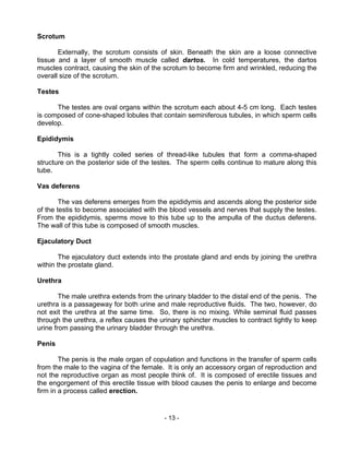 Biology m13 human reproductive system | PDF
