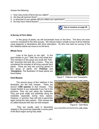 Biology m16 diversity of plants | PDF
