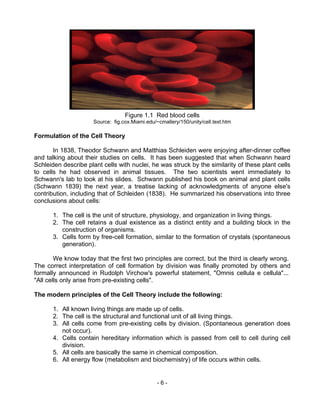Biology M2 Cell Structure & Function.pdf