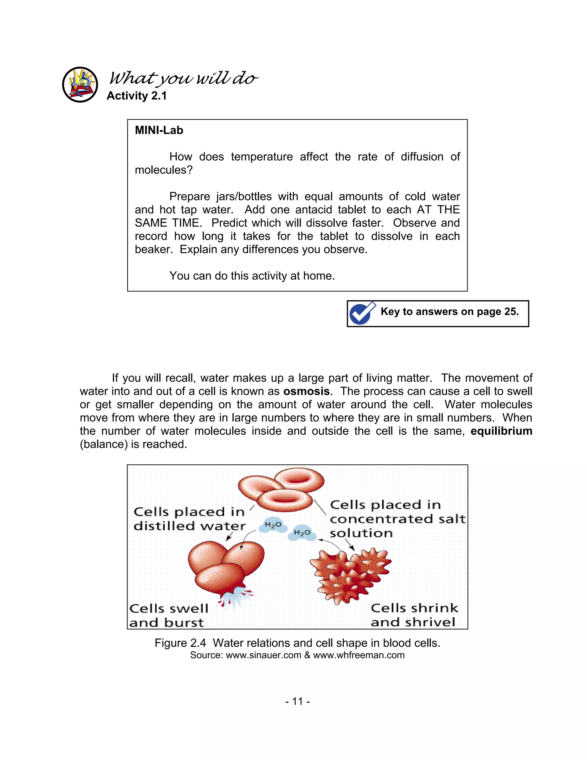 - 11 -
What you will do
Activity 2.1
If you will recall, water makes up a large part of living matter. The movement of
water into and out of a cell is known as osmosis. The process can cause a cell to swell
or get smaller depending on the amount of water around the cell. Water molecules
move from where they are in large numbers to where they are in small numbers. When
the number of water molecules inside and outside the cell is the same, equilibrium
(balance) is reached.
Figure 2.4 Water relations and cell shape in blood cells.
Source: www.sinauer.com & www.whfreeman.com
MINI-Lab
How does temperature affect the rate of diffusion of
molecules?
Prepare jars/bottles with equal amounts of cold water
and hot tap water. Add one antacid tablet to each AT THE
SAME TIME. Predict which will dissolve faster. Observe and
record how long it takes for the tablet to dissolve in each
beaker. Explain any differences you observe.
You can do this activity at home.
Key to answers on page 25.
 
