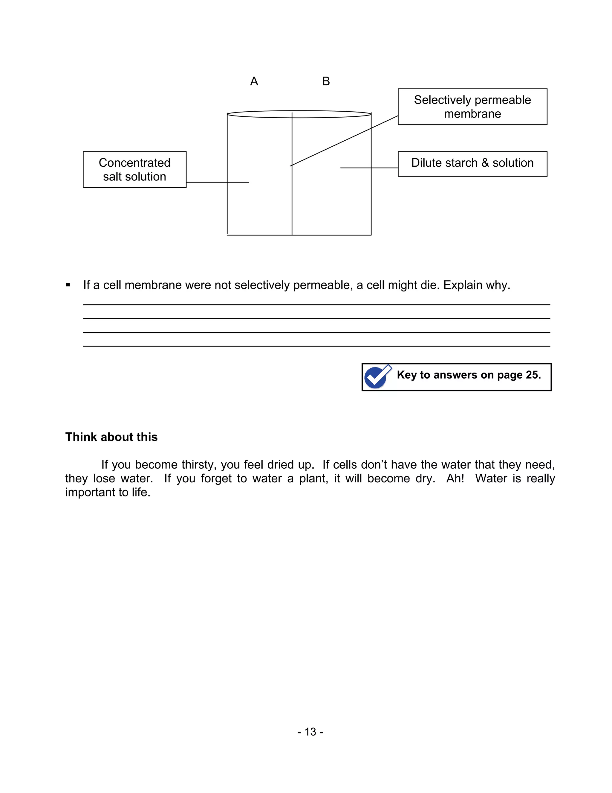 - 13 -
If a cell membrane were not selectively permeable, a cell might die. Explain why.
______________________________________________________________________
______________________________________________________________________
______________________________________________________________________
______________________________________________________________________
Think about this
If you become thirsty, you feel dried up. If cells don’t have the water that they need,
they lose water. If you forget to water a plant, it will become dry. Ah! Water is really
important to life.
Selectively permeable
membrane
Dilute starch & solutionConcentrated
salt solution
A B
Key to answers on page 25.
 