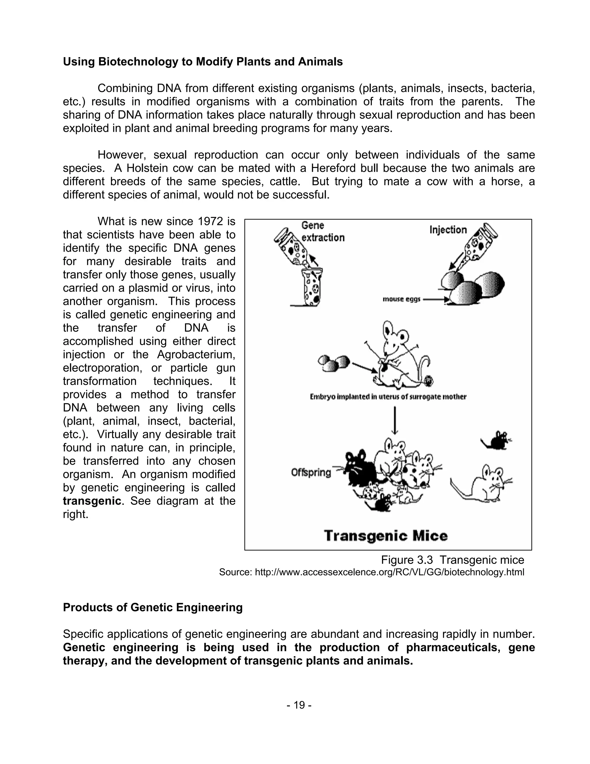 - 19 -
Using Biotechnology to Modify Plants and Animals
Combining DNA from different existing organisms (plants, animals, insects, bacteria,
etc.) results in modified organisms with a combination of traits from the parents. The
sharing of DNA information takes place naturally through sexual reproduction and has been
exploited in plant and animal breeding programs for many years.
However, sexual reproduction can occur only between individuals of the same
species. A Holstein cow can be mated with a Hereford bull because the two animals are
different breeds of the same species, cattle. But trying to mate a cow with a horse, a
different species of animal, would not be successful.
What is new since 1972 is
that scientists have been able to
identify the specific DNA genes
for many desirable traits and
transfer only those genes, usually
carried on a plasmid or virus, into
another organism. This process
is called genetic engineering and
the transfer of DNA is
accomplished using either direct
injection or the Agrobacterium,
electroporation, or particle gun
transformation techniques. It
provides a method to transfer
DNA between any living cells
(plant, animal, insect, bacterial,
etc.). Virtually any desirable trait
found in nature can, in principle,
be transferred into any chosen
organism. An organism modified
by genetic engineering is called
transgenic. See diagram at the
right.
Products of Genetic Engineering
Specific applications of genetic engineering are abundant and increasing rapidly in number.
Genetic engineering is being used in the production of pharmaceuticals, gene
therapy, and the development of transgenic plants and animals.
Figure 3.3 Transgenic mice
Source: http://www.accessexcelence.org/RC/VL/GG/biotechnology.html
 
