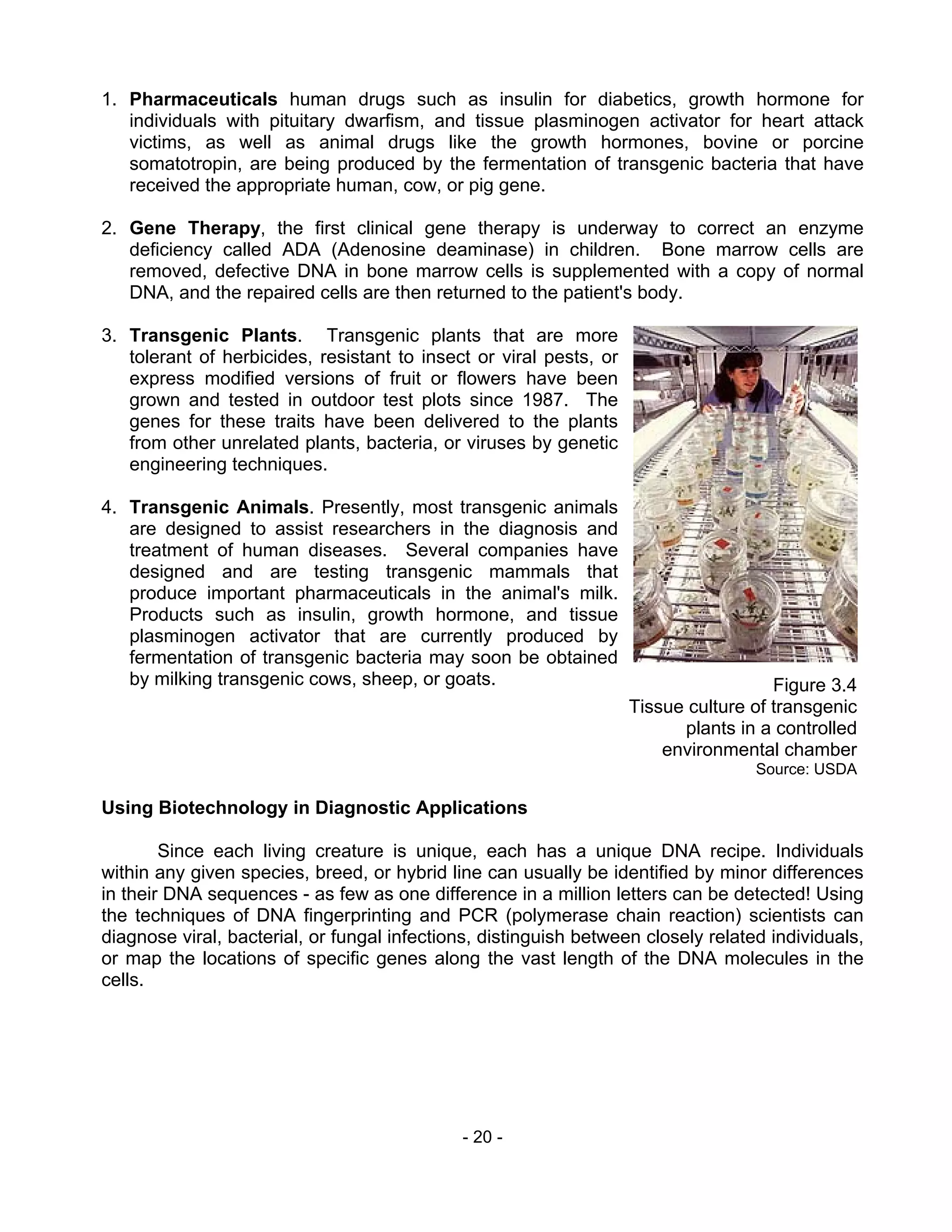- 20 -
1. Pharmaceuticals human drugs such as insulin for diabetics, growth hormone for
individuals with pituitary dwarfism, and tissue plasminogen activator for heart attack
victims, as well as animal drugs like the growth hormones, bovine or porcine
somatotropin, are being produced by the fermentation of transgenic bacteria that have
received the appropriate human, cow, or pig gene.
2. Gene Therapy, the first clinical gene therapy is underway to correct an enzyme
deficiency called ADA (Adenosine deaminase) in children. Bone marrow cells are
removed, defective DNA in bone marrow cells is supplemented with a copy of normal
DNA, and the repaired cells are then returned to the patient's body.
3. Transgenic Plants. Transgenic plants that are more
tolerant of herbicides, resistant to insect or viral pests, or
express modified versions of fruit or flowers have been
grown and tested in outdoor test plots since 1987. The
genes for these traits have been delivered to the plants
from other unrelated plants, bacteria, or viruses by genetic
engineering techniques.
4. Transgenic Animals. Presently, most transgenic animals
are designed to assist researchers in the diagnosis and
treatment of human diseases. Several companies have
designed and are testing transgenic mammals that
produce important pharmaceuticals in the animal's milk.
Products such as insulin, growth hormone, and tissue
plasminogen activator that are currently produced by
fermentation of transgenic bacteria may soon be obtained
by milking transgenic cows, sheep, or goats.
Using Biotechnology in Diagnostic Applications
Since each living creature is unique, each has a unique DNA recipe. Individuals
within any given species, breed, or hybrid line can usually be identified by minor differences
in their DNA sequences - as few as one difference in a million letters can be detected! Using
the techniques of DNA fingerprinting and PCR (polymerase chain reaction) scientists can
diagnose viral, bacterial, or fungal infections, distinguish between closely related individuals,
or map the locations of specific genes along the vast length of the DNA molecules in the
cells.
Figure 3.4
Tissue culture of transgenic
plants in a controlled
environmental chamber
Source: USDA
 