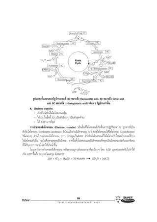 Acetyl-CoA 2C

                            Oxaloacetate 4C                       Citrate 6C
                   NADH
                       NAD+                                Isocitrate 6C
                        Malate 4C
                                                                       NAD+
                  H2O                      Krebs
                                           Cycle       CO2               NADH
                       Fumarate 4C
                  FADH2                                  α-ketoglutarate 5C
                                                  CO 2               NAD+
                      FAD                                              NADH
                              Succinate 4C       Succinyl-CoA 4C


                                                 ADP        ATP
            รูปแสดงขั้นตอนของวัฏจักรเครบส (4C หมายถึง Oxaloacetic acid, 6C หมายถึง Citric acid
                          และ 5C หมายถึง α-ketoglutaric acid) เพียง 1 วัฏจักรเทานั้น
         4. Electron transfer
             - เกิดที่ผนังชั้นในไมโตคอนเดรีย
             - ใช O2 ในขั้นนี้ (O2 เปนตัวรับ H2 เปนตัวสุดทาย)
             - ได ATP มากที่สุด
         การถายทอดอิเล็กตรอน (Electron transfer) เปนขั้นที่ไฮโดรเจนที่เกิดขึ้นจากปฏิกิริยาตางๆ ถูกสารที่เปน
ตัวรับไฮโดรเจน (Hydrogen acceptor) รับไปแลวถายอิเล็กตรอน (e-) ของไฮโดรเจนใหไซโตโครม (Cytochrome)
ชนิดตางๆ สวนโปรตอนของไฮโดรเจน (H+) จะหลุดเปนอิสระ สําหรับอิเล็กตรอนที่ไซโตโครมรับไปจะถายทอดไปยัง
ไซโตโครมตัวอื่น จนในที่สุดจะหลุดเปนอิสระ จากนั้นทั้งโปรตอนและอิเล็กตรอนที่หลุดเปนอิสระจะรวมกับออกซิเจน
ที่ไดรบจากการหายใจทําใหเกิดนํ้าขึ้น
       ั
         ในระหวางการถายทอดอิเล็กตรอน พลังงานจะถูกปลอยออกมาทีละนอยๆ โดย ADP และฟอสเฟตรับไปทําให
เกิด ATP ขึ้นถึง 32-34 โมเลกุล ดังสมการ
                           24H + 6O2 + 34ADP + 34 ฟอสเฟต          12H2O + 34ATP




                                                       89
ชีววิทยา
 