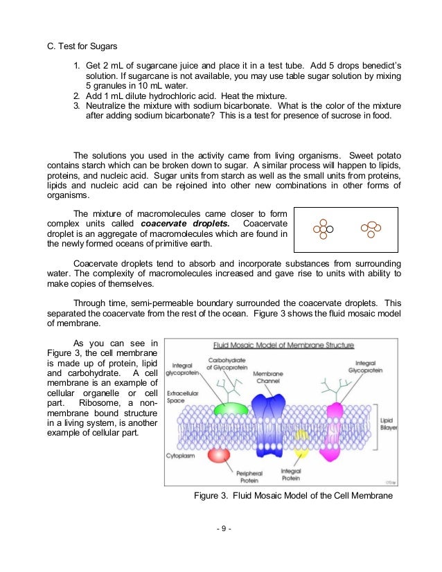 Biology m6 the levels of biological organization