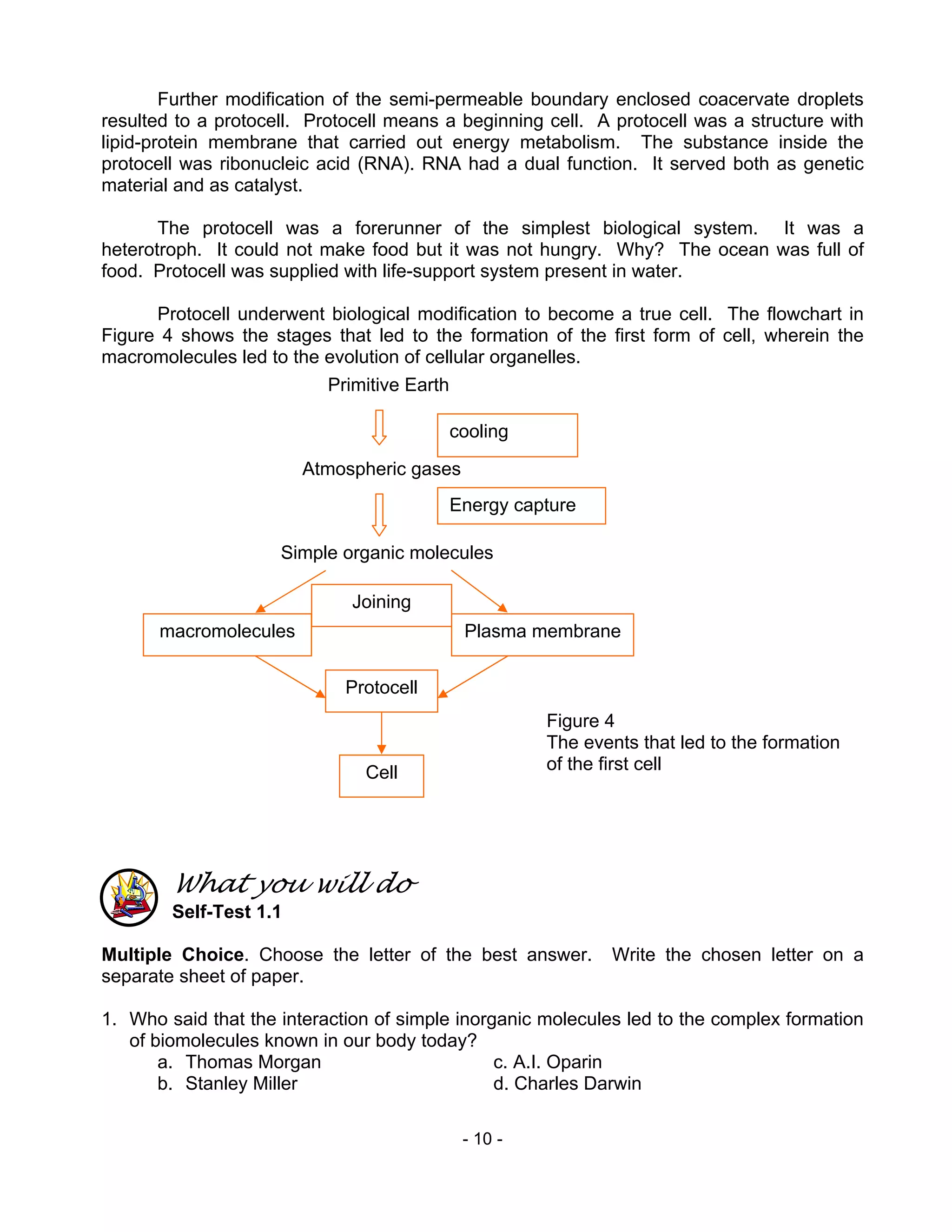 - 10 -
Further modification of the semi-permeable boundary enclosed coacervate droplets
resulted to a protocell. Protocell means a beginning cell. A protocell was a structure with
lipid-protein membrane that carried out energy metabolism. The substance inside the
protocell was ribonucleic acid (RNA). RNA had a dual function. It served both as genetic
material and as catalyst.
The protocell was a forerunner of the simplest biological system. It was a
heterotroph. It could not make food but it was not hungry. Why? The ocean was full of
food. Protocell was supplied with life-support system present in water.
Protocell underwent biological modification to become a true cell. The flowchart in
Figure 4 shows the stages that led to the formation of the first form of cell, wherein the
macromolecules led to the evolution of cellular organelles.
What you will do
Self-Test 1.1
Multiple Choice. Choose the letter of the best answer. Write the chosen letter on a
separate sheet of paper.
1. Who said that the interaction of simple inorganic molecules led to the complex formation
of biomolecules known in our body today?
a. Thomas Morgan c. A.I. Oparin
b. Stanley Miller d. Charles Darwin
Figure 4
The events that led to the formation
of the first cell
cooling
Energy capture
Joining
macromolecules Plasma membrane
Protocell
Cell
Primitive Earth
Atmospheric gases
Simple organic molecules
 
