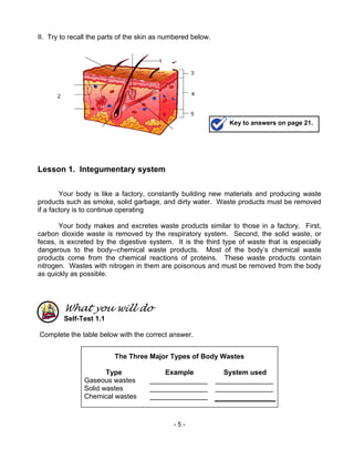Biology m8 integumentary & excretory systems | PDF