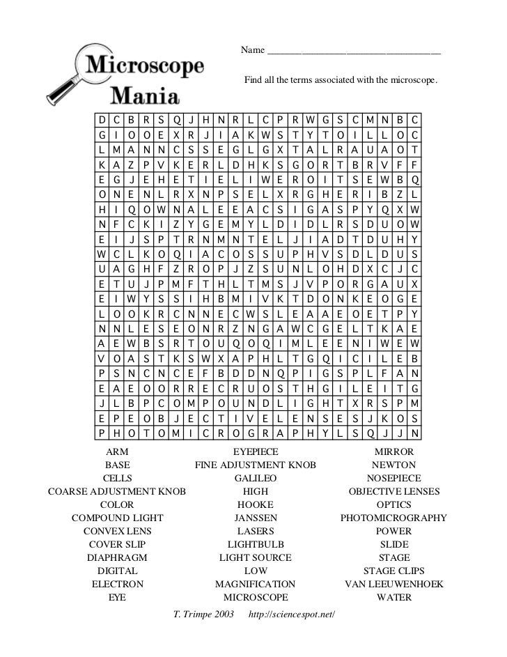 Biology micropuzzle