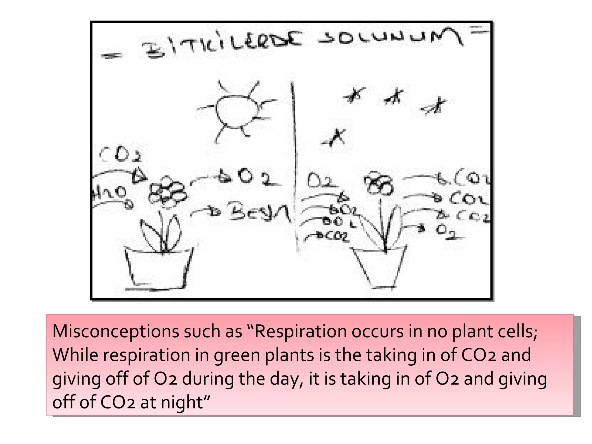 Misconceptions such as “Respiration occurs in no plant cells; While respiration in green plants is the taking in of CO2 and giving off of O2 during the day, it is taking in of O2 and giving off of CO2 at night” 