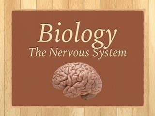 Biology
The Nervous System
!
!
 