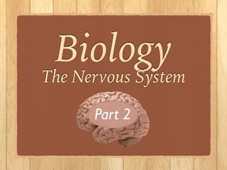 Biology
The Nervous System
!
!
Part 2
 