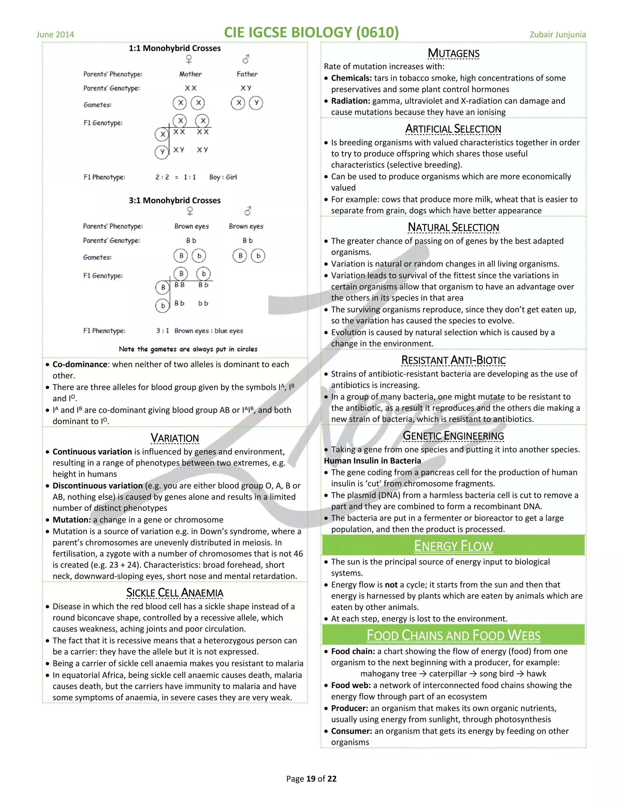 June 2014 CIE IGCSE BIOLOGY (0610) Zubair Junjunia
Page 19 of 22
1:1 Monohybrid Crosses
3:1 Monohybrid Crosses
 Co-dominance: when neither of two alleles is dominant to each
other.
 There are three alleles for blood group given by the symbols IA, IB
and IO.
 IA and IB are co-dominant giving blood group AB or IAIB, and both
dominant to IO.
VARIATION
 Continuous variation is influenced by genes and environment,
resulting in a range of phenotypes between two extremes, e.g.
height in humans
 Discontinuous variation (e.g. you are either blood group O, A, B or
AB, nothing else) is caused by genes alone and results in a limited
number of distinct phenotypes
 Mutation: a change in a gene or chromosome
 Mutation is a source of variation e.g. in Down’s syndrome, where a
parent’s chromosomes are unevenly distributed in meiosis. In
fertilisation, a zygote with a number of chromosomes that is not 46
is created (e.g. 23 + 24). Characteristics: broad forehead, short
neck, downward-sloping eyes, short nose and mental retardation.
SICKLE CELL ANAEMIA
 Disease in which the red blood cell has a sickle shape instead of a
round biconcave shape, controlled by a recessive allele, which
causes weakness, aching joints and poor circulation.
 The fact that it is recessive means that a heterozygous person can
be a carrier: they have the allele but it is not expressed.
 Being a carrier of sickle cell anaemia makes you resistant to malaria
 In equatorial Africa, being sickle cell anaemic causes death, malaria
causes death, but the carriers have immunity to malaria and have
some symptoms of anaemia, in severe cases they are very weak.
MUTAGENS
Rate of mutation increases with:
 Chemicals: tars in tobacco smoke, high concentrations of some
preservatives and some plant control hormones
 Radiation: gamma, ultraviolet and X-radiation can damage and
cause mutations because they have an ionising
ARTIFICIAL SELECTION
 Is breeding organisms with valued characteristics together in order
to try to produce offspring which shares those useful
characteristics (selective breeding).
 Can be used to produce organisms which are more economically
valued
 For example: cows that produce more milk, wheat that is easier to
separate from grain, dogs which have better appearance
NATURAL SELECTION
 The greater chance of passing on of genes by the best adapted
organisms.
 Variation is natural or random changes in all living organisms.
 Variation leads to survival of the fittest since the variations in
certain organisms allow that organism to have an advantage over
the others in its species in that area
 The surviving organisms reproduce, since they don’t get eaten up,
so the variation has caused the species to evolve.
 Evolution is caused by natural selection which is caused by a
change in the environment.
RESISTANT ANTI-BIOTIC
 Strains of antibiotic-resistant bacteria are developing as the use of
antibiotics is increasing.
 In a group of many bacteria, one might mutate to be resistant to
the antibiotic, as a result it reproduces and the others die making a
new strain of bacteria, which is resistant to antibiotics.
GENETIC ENGINEERING
 Taking a gene from one species and putting it into another species.
Human Insulin in Bacteria
 The gene coding from a pancreas cell for the production of human
insulin is ‘cut’ from chromosome fragments.
 The plasmid (DNA) from a harmless bacteria cell is cut to remove a
part and they are combined to form a recombinant DNA.
 The bacteria are put in a fermenter or bioreactor to get a large
population, and then the product is processed.
ENERGY FLOW
 The sun is the principal source of energy input to biological
systems.
 Energy flow is not a cycle; it starts from the sun and then that
energy is harnessed by plants which are eaten by animals which are
eaten by other animals.
 At each step, energy is lost to the environment.
FOOD CHAINS AND FOOD WEBS
 Food chain: a chart showing the flow of energy (food) from one
organism to the next beginning with a producer, for example:
mahogany tree → caterpillar → song bird → hawk
 Food web: a network of interconnected food chains showing the
energy flow through part of an ecosystem
 Producer: an organism that makes its own organic nutrients,
usually using energy from sunlight, through photosynthesis
 Consumer: an organism that gets its energy by feeding on other
organisms
 